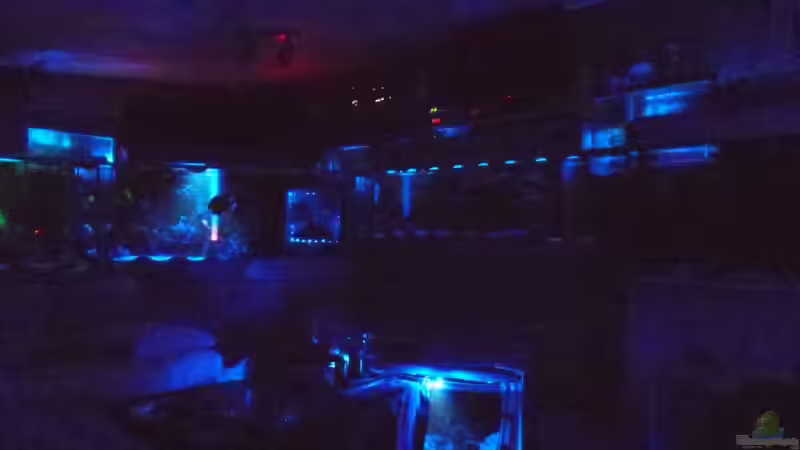 In der Nacht von Ulrich Sauerhering (15)