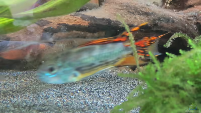 In Eile :) von Skalarjoe (29)