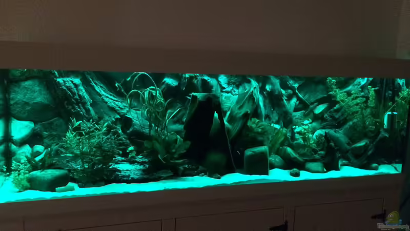 in grün von Captain Gü (16)