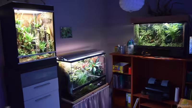 In guter Gesellschaft ;) von Junglist (34)