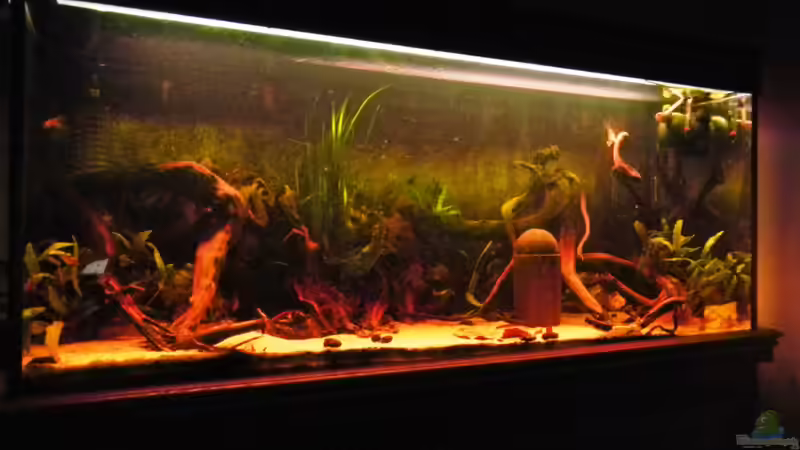 in natura siehts echt besser aus