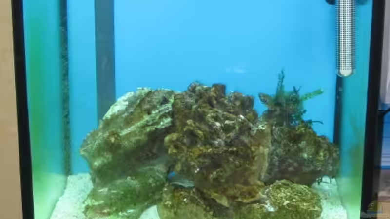 In ner Einfahrphase [ Januar ] von Christian Schneider (2)