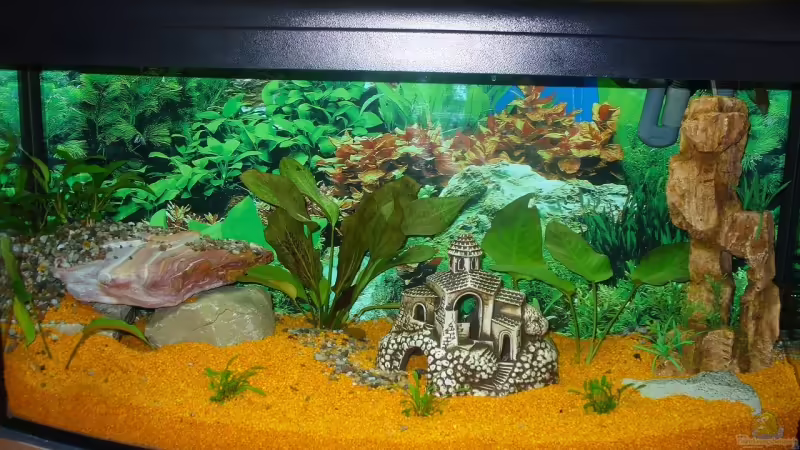 in voller Pracht noch unbewohnt