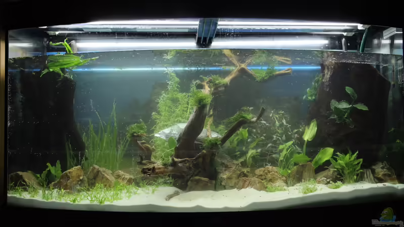 Inbetriebnahme 28.05.16 von Jumata (3)