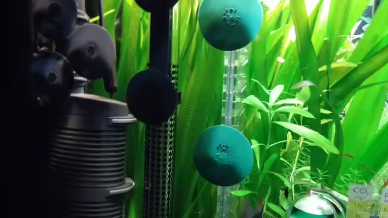 Innen-Installation von BigBDorsten (10)