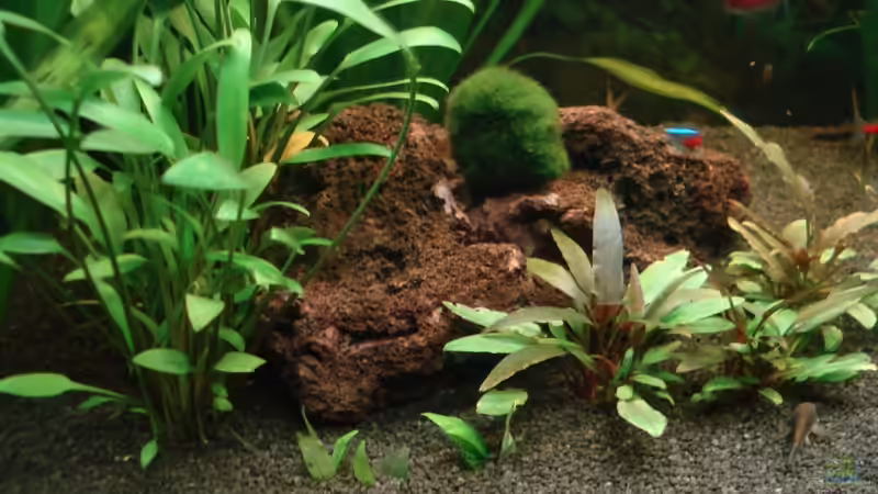 Innenansicht 14.12.09 von Picard (6)