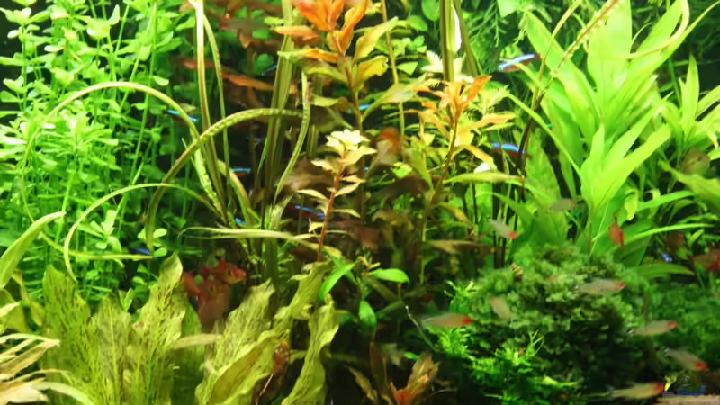 Innenansicht von Aquarienexperts (3)