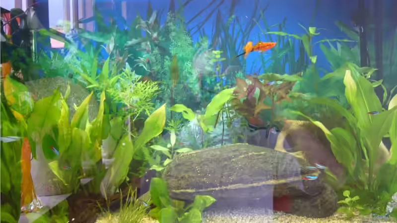 Innenansicht von Mirko Janke (3)