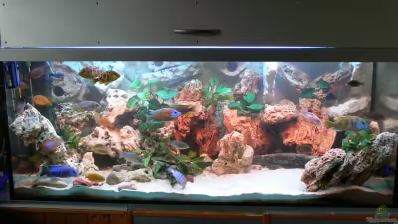 Innenausbau vollbracht!! von Christian Klar (9)