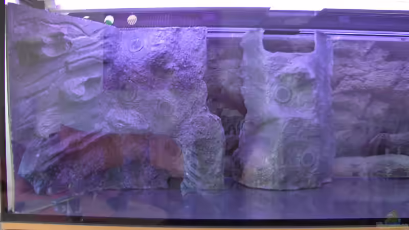 Inneneinrichtung von Justus (4)