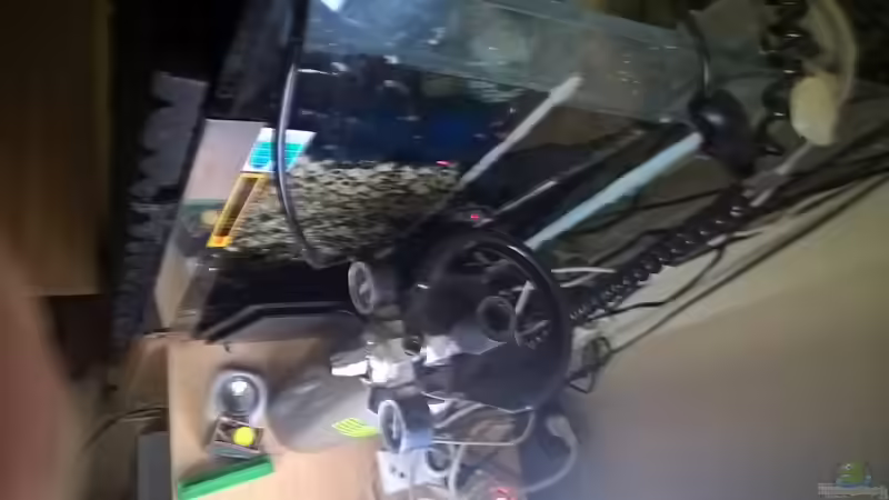 Innenfilter , Co2 von Lars 300l 1. (16)