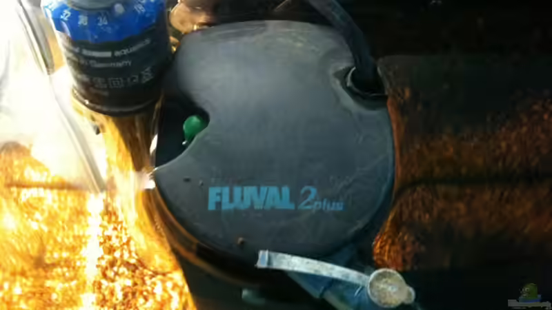 Innenfilter + Heizstab von Andrea Rüter (9)