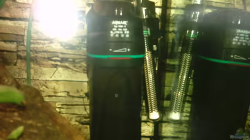 Aquarien mit Membranpumpe