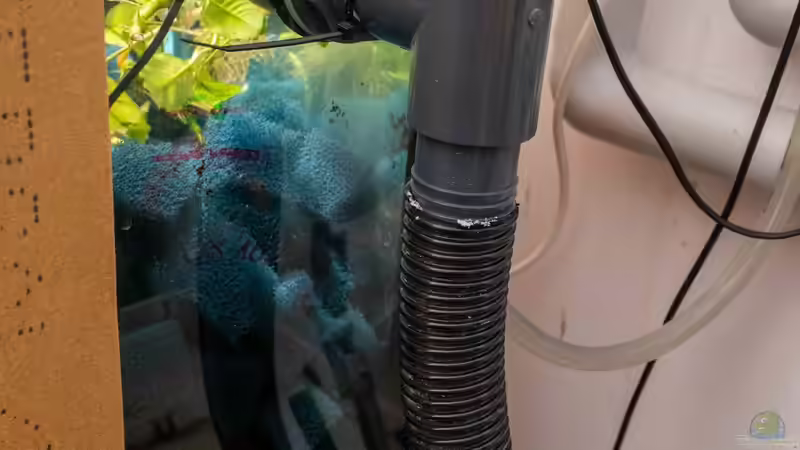 Innenfilter 1 mit ??berlauf von SylAn (8)