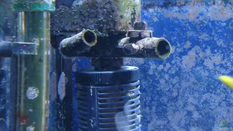 Innenfilter 2500l/h von enemey (14)