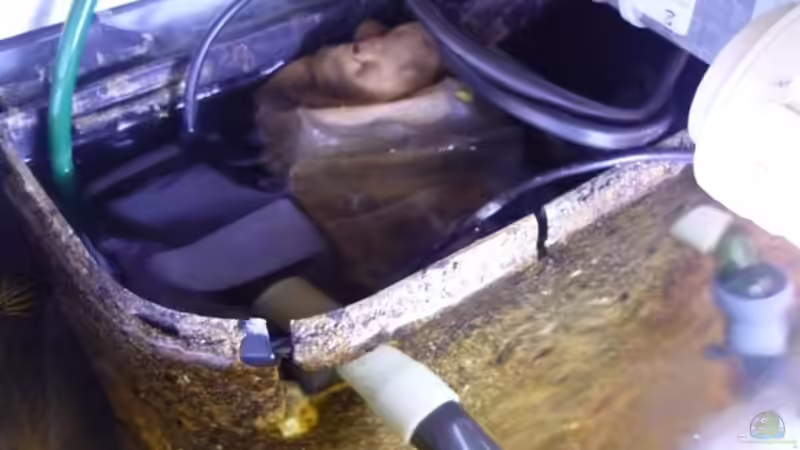 Innenfilter Aquael von dirkvader71 (18)