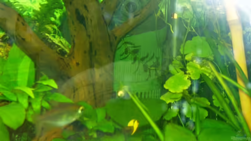 Innenfilter gut versteckt von Mellie (14)