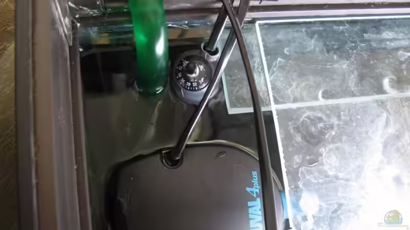 Innenfilter,Heizstab und Ansaugrohr des Eheim 2217 von Patrick Schäfer (4)