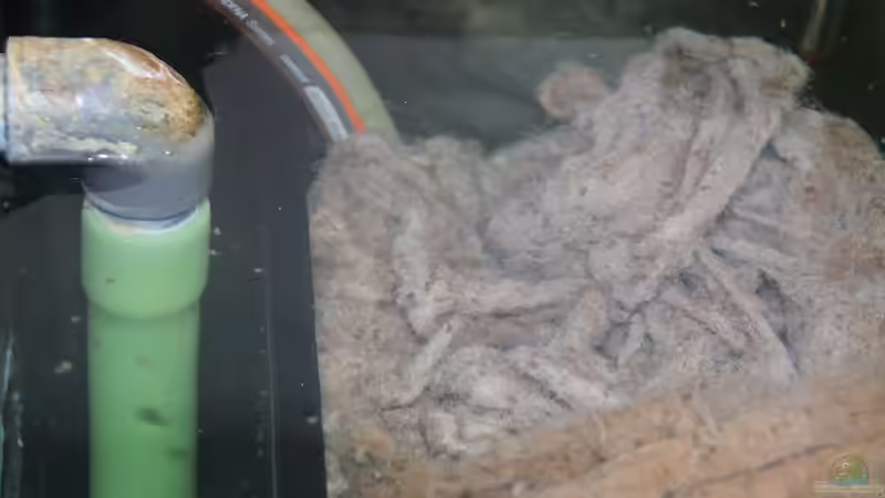 Innenfilter mit Außen- und Schnellfilterrücklauf von Dirkan (9)