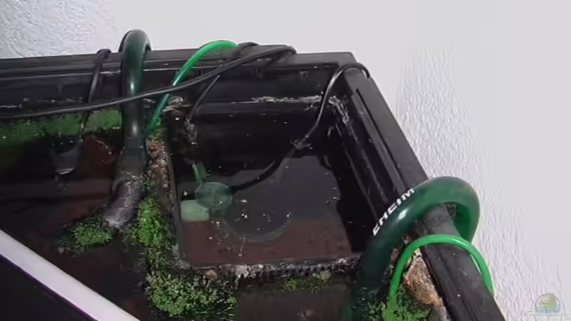 Innenfilter origenal von Juwel von Andrej Malikov (8)