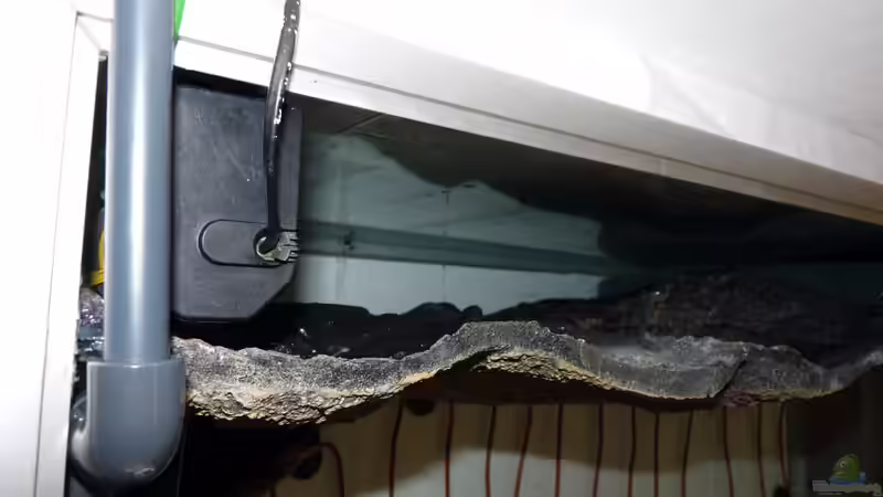 Innenfilter Rückwand, neu eingeklebt von Guzzi-Werner (10)