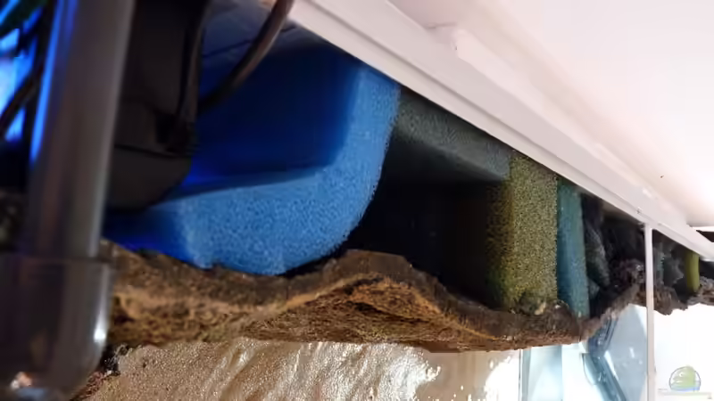 Innenfilter Rückwand von Guzzi-Werner (11)