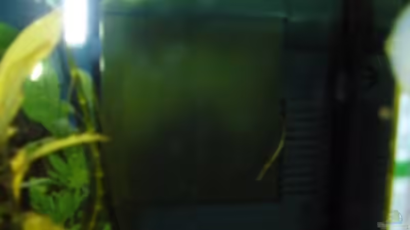 Innenfilter Vitatech von LaChica (3)