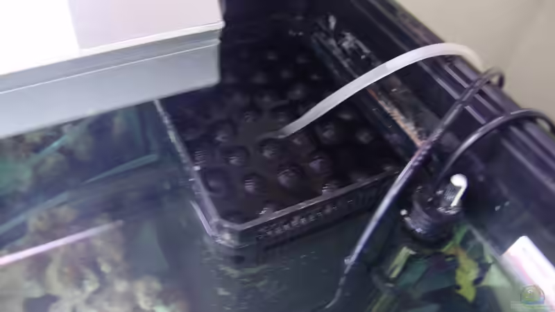 Innenfilter von Fabian Lehmann (11)