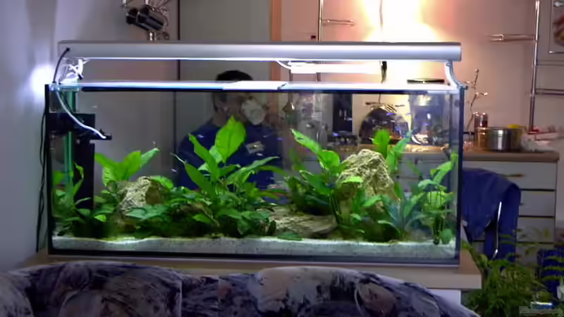 Innenfilter von Gabriela Lang (10)