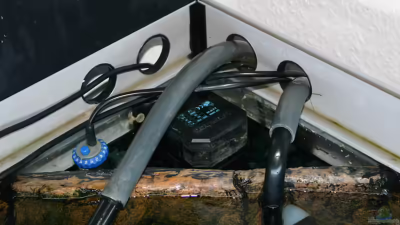 Innenfilter von Sven Koch (4)