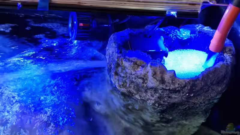 Innenfilterstein von Sven Meyer (17)