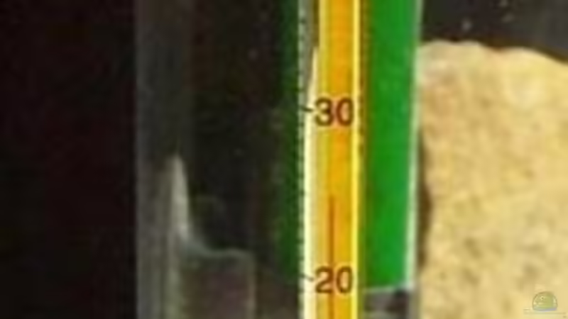 Innenthermometer von P.K. (6)