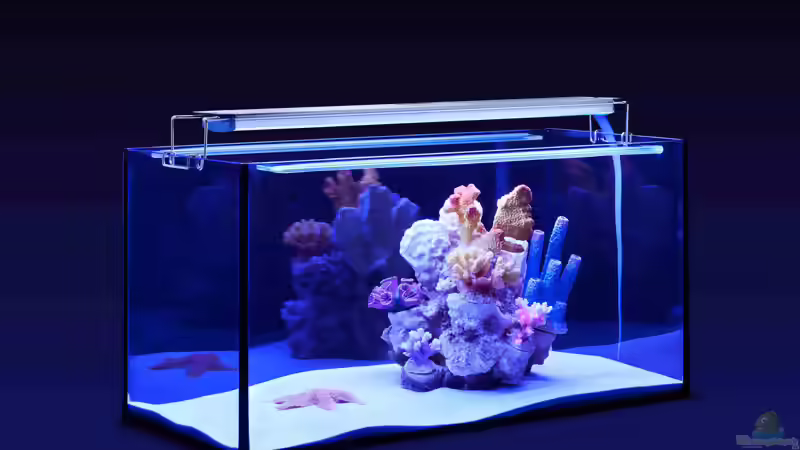 Innovation in der Aquaristik: aquaLUMix LED-Kompaktsystem