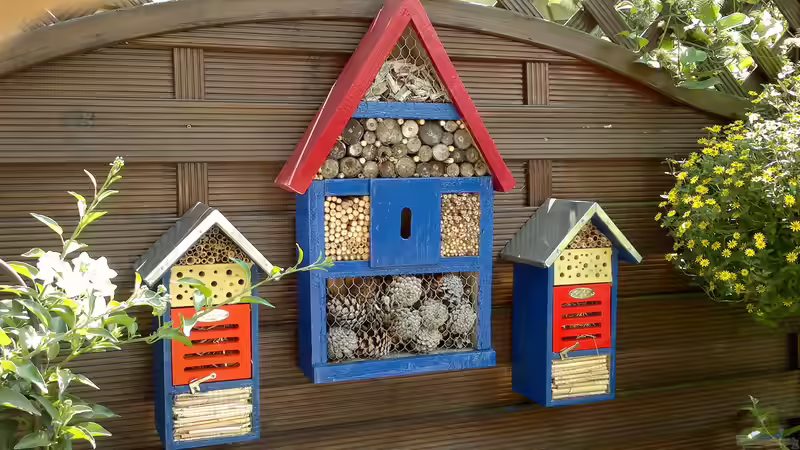 Insektenhotels (...wenn es fliegen oder krabbeln kann, kann Fisch es auch fressen) von Sambia (35)