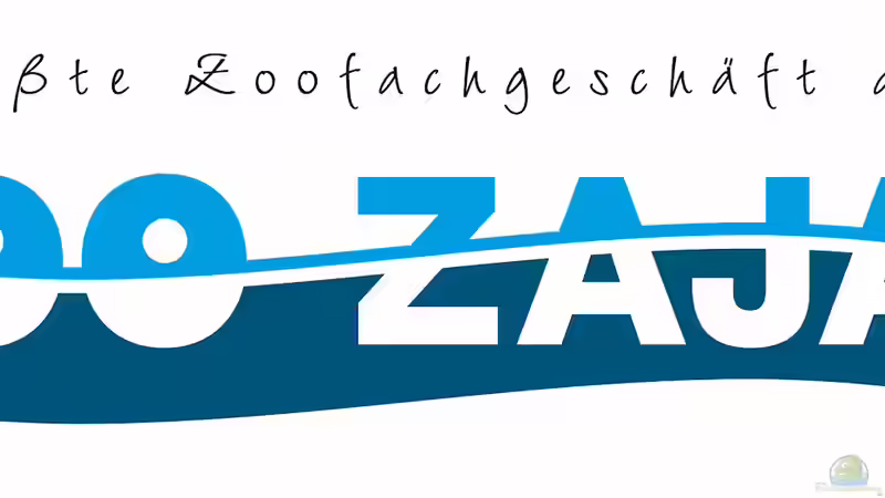 Insolvenz von Zoo Zajac in Duisburg: Auswirkungen und Hintergründe