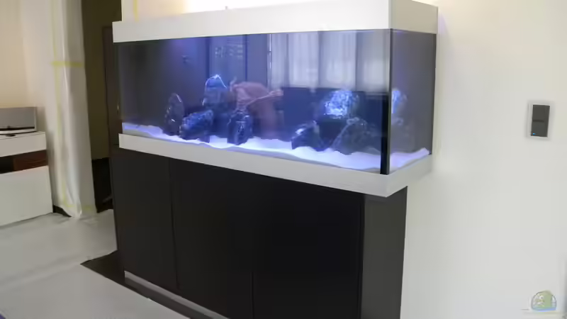 Installation des Aquarium von flightsim (17)