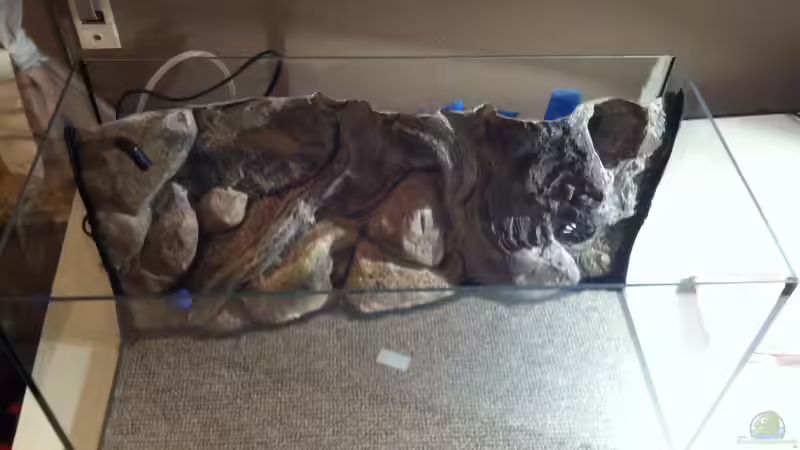 Installation Rückwand von Nordsee-Kaiser (2)