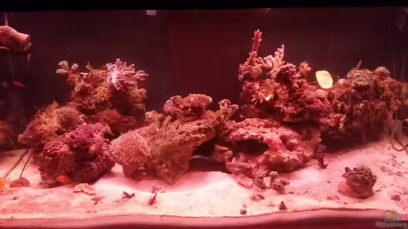 Intensive Abendröte von Tim1979 (28)