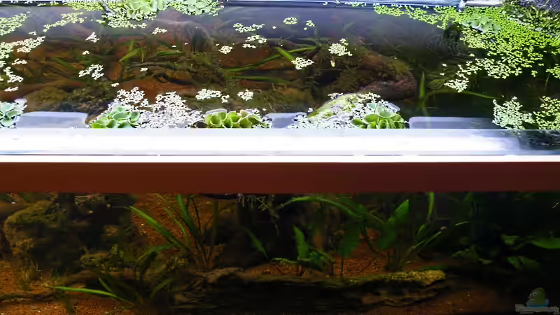 INteressante Perspektive - so ists gleich mal doppelt breit :-) von bergfrau (33)