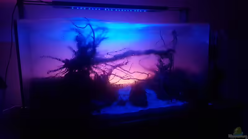 Into the sunset von JalaRoki (16)