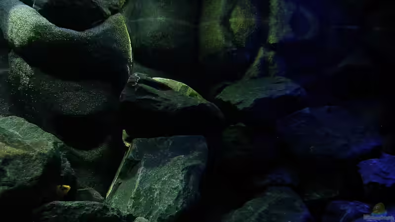 Irgendwie mystisch 22.12.12 von bossie1704 (51)