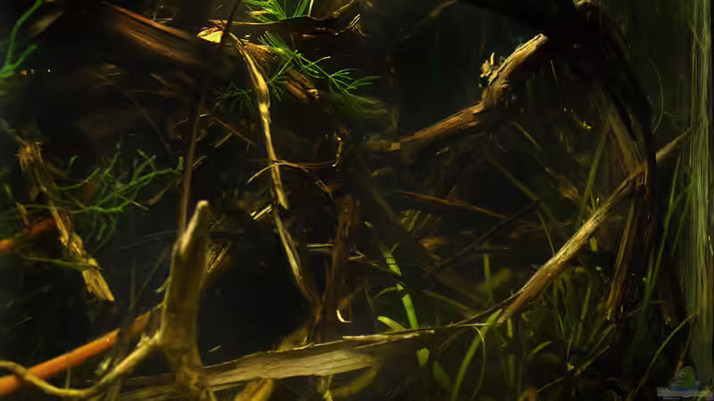 irgendwo von Mario74 (3)