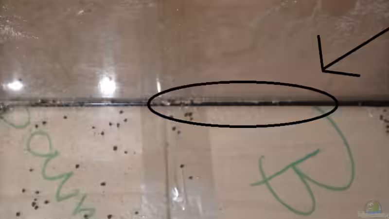 irgentwo hier ist es kaputt von Marci (7)