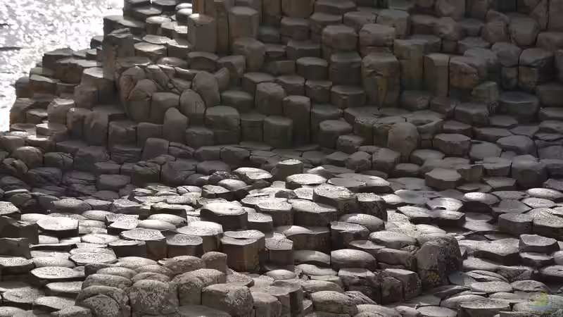 Irland für Garten- und Naturliebhaber — Ein ausführlicher Guide für Reisen, Pflanzen und Inspiration