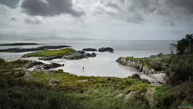 Irland für Garten- und Naturliebhaber — Ein ausführlicher Guide für Reisen, Pflanzen und Inspiration
