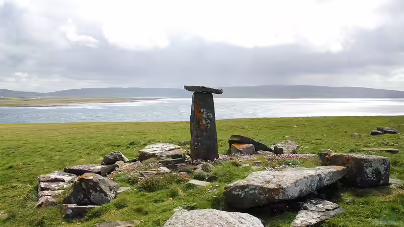 Irland für Garten- und Naturliebhaber — Ein ausführlicher Guide für Reisen, Pflanzen und Inspiration