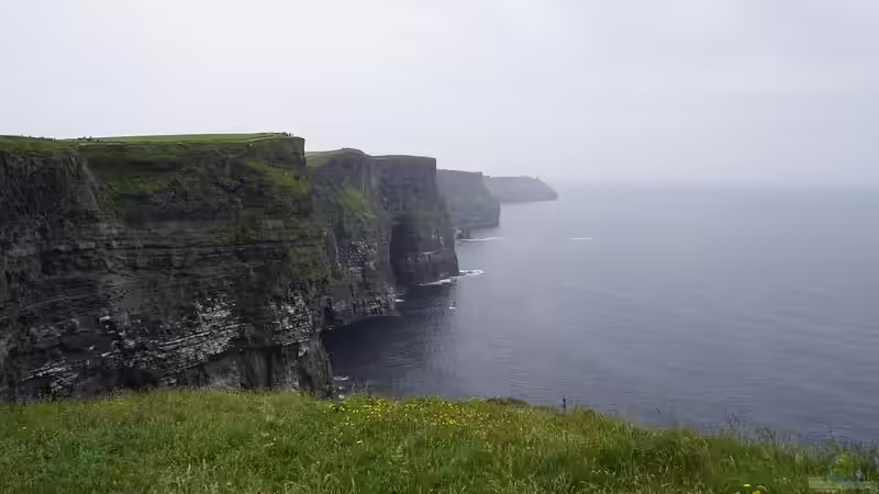 Irland für Garten- und Naturliebhaber — Ein ausführlicher Guide für Reisen, Pflanzen und Inspiration