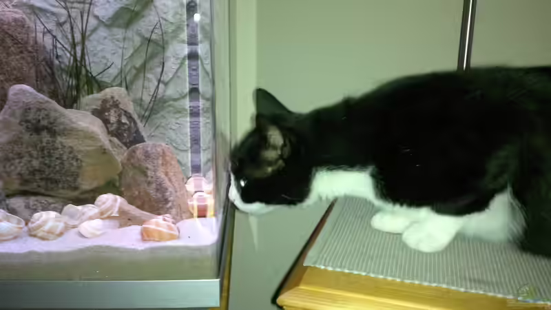 ´Is da jemand zu hause???´ von Sambia (16)