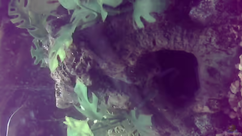 is leider nicht das beste geworden von Sebastian Zeitler (4)