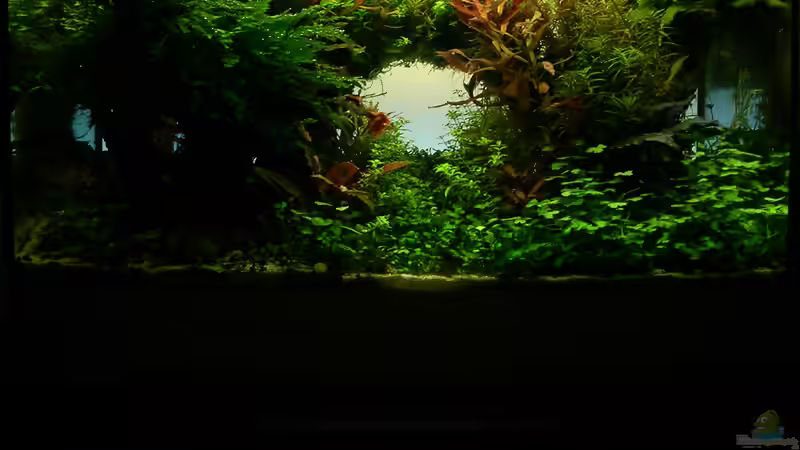 Is this the end? von Fredo Fuss (20)